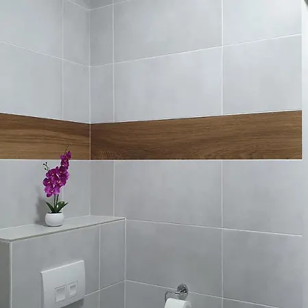 Apartamenty Slask Zabrze Exteriér fotografie